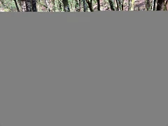 IMG_1762