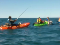 100_0165 100_0165