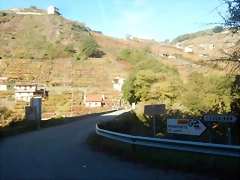 DSCN4535 DSCN4535