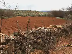 05, la tierra preparada 1, marca