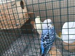 IMG-20241022-WA0018