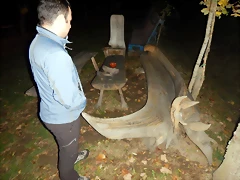 DSCN8701 DSCN8701