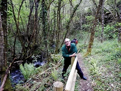 DSCN0728 DSCN0728