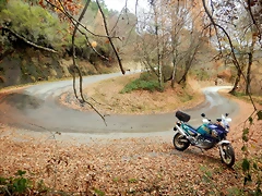 DSCN3130