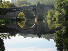 IMG_8360 IMG_8360
