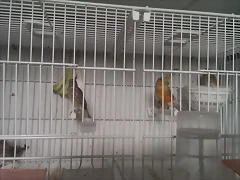 IMAG0665