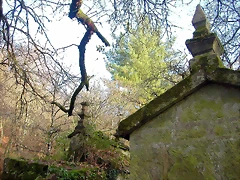 DSCN7227 DSCN7227