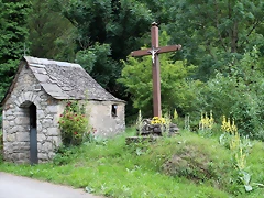 IMG_6717 IMG_6717