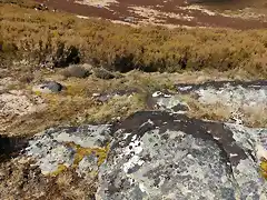 Desde Cenza a MatoAlto Cernado (12)