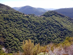 DSCN1535 DSCN1535