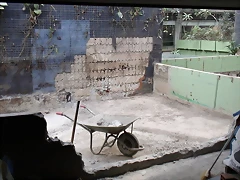 Zoológico 25-02-06 047 Zoológico 25-02-06 047