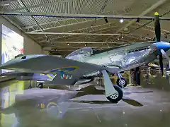 p51denexhibicinenelmuse