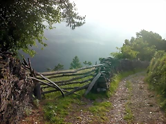 DSCN4103 DSCN4103
