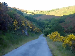 DSCN4125 DSCN4125