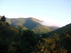 DSCN4127 DSCN4127