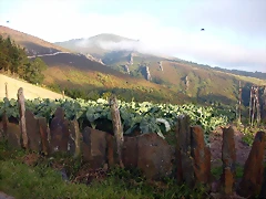 DSCN4108 DSCN4108