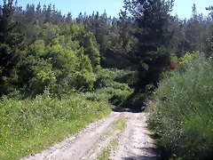 DSCN4002 DSCN4002