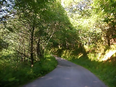 DSCN4061 DSCN4061