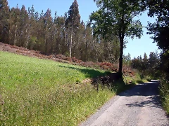 DSCN3992 DSCN3992