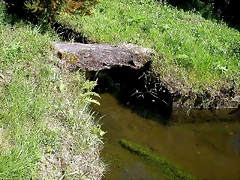 DSCN4023 DSCN4023