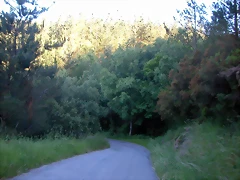 DSCN4063 DSCN4063