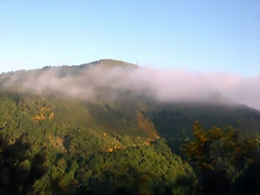 DSCN4116 DSCN4116
