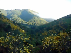 DSCN4126 DSCN4126