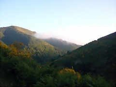 DSCN4130 DSCN4130