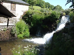DSCN4028 DSCN4028