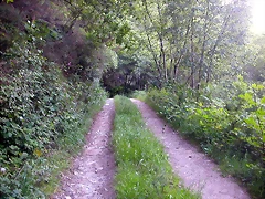 DSCN4085 DSCN4085