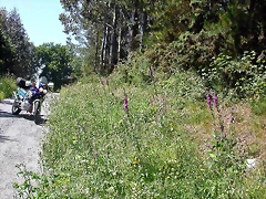 DSCN3994 DSCN3994
