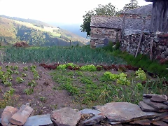 DSCN4107 DSCN4107