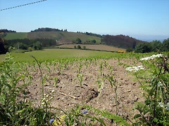 DSCN3996 DSCN3996