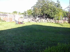 DSCN4044 DSCN4044