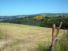 DSCN4013 DSCN4013