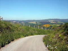 DSCN4015 DSCN4015