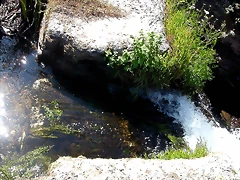 DSCN4032 DSCN4032