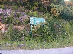 DSCN4111 DSCN4111