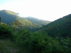 DSCN4131 DSCN4131