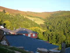 DSCN4135 DSCN4135