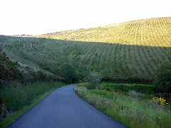DSCN4139 DSCN4139