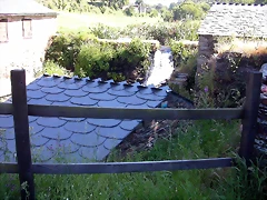 DSCN4026 DSCN4026