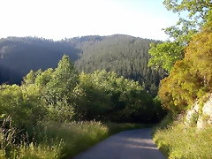 DSCN4066 DSCN4066