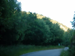 DSCN4068 DSCN4068