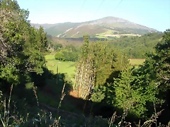 DSCN4070 DSCN4070
