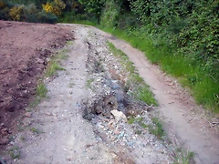 DSCN4084 DSCN4084
