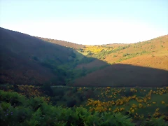 DSCN4119 DSCN4119