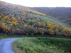 DSCN4121 DSCN4121