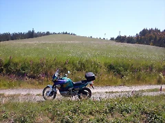 DSCN4000 DSCN4000