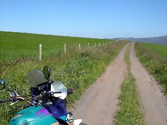 DSCN4007 DSCN4007